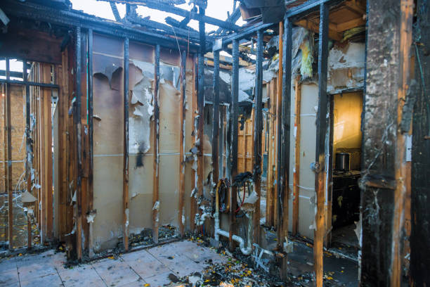 Professional Fire Damage Repair technician working in Young America, MN